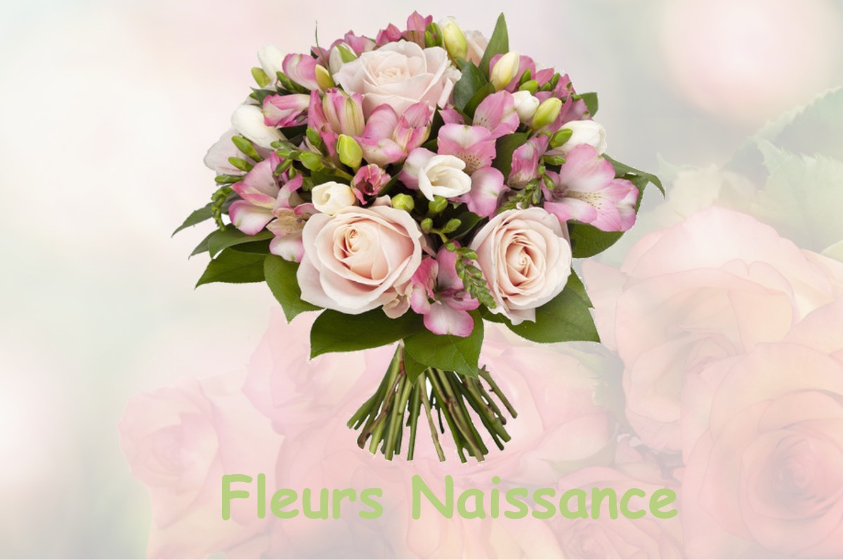 fleurs naissance MAZAN-L-ABBAYE